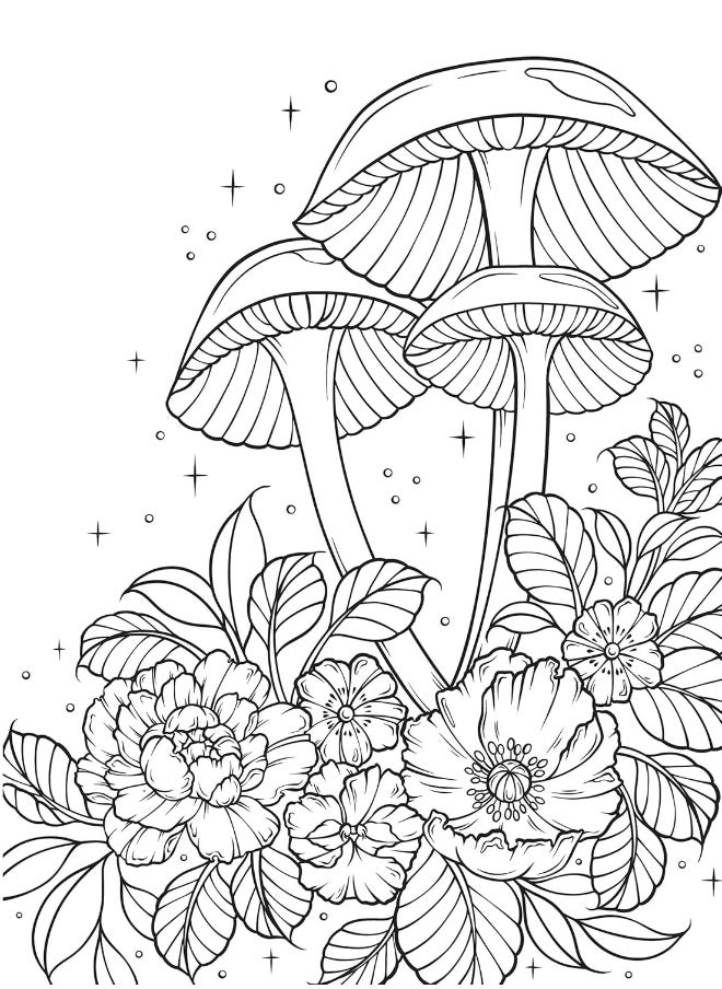 Dover Creative Haven The Art of Mushrooms Coloring Book - pzsku/Z11C5174B603F2DFEE4C7Z/45/_/1737873650/91f89b10-0812-4f96-9d16-1a01e80b1333