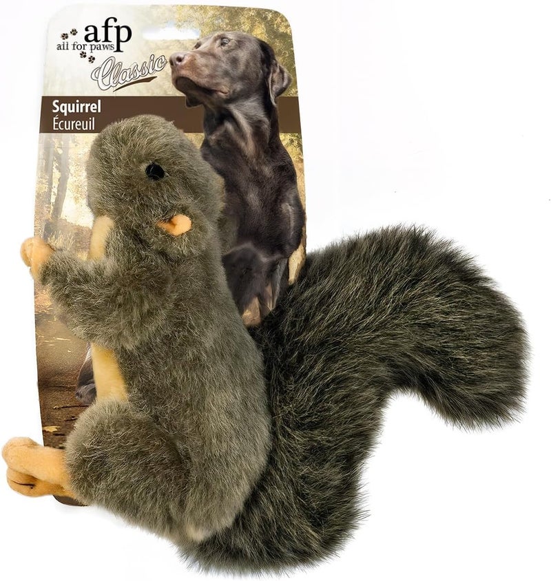 All For Paws Classic Squirrel Plush Toy for Dogs - Small Size - Image 1