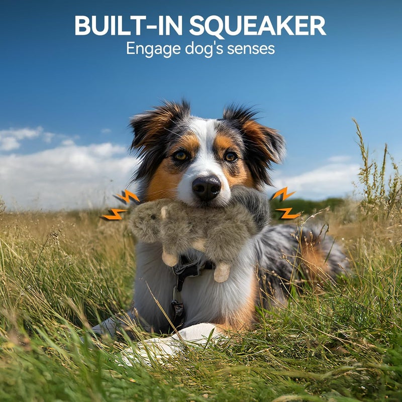 All For Paws Classic Squirrel Plush Toy for Dogs - Small Size - Image 2