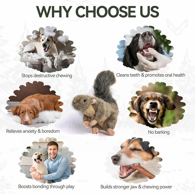 All For Paws Classic Squirrel Plush Toy for Dogs - Small Size - Image 5