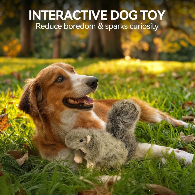 All For Paws Classic Squirrel Plush Toy for Dogs - Small Size - Image 3