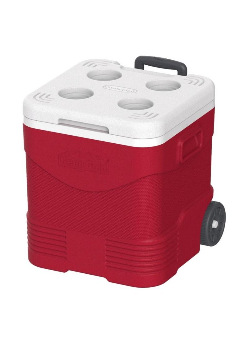 Keepcold Picnic Trolley Icebox 30 L 38.5 X 41.5 X 41cm 