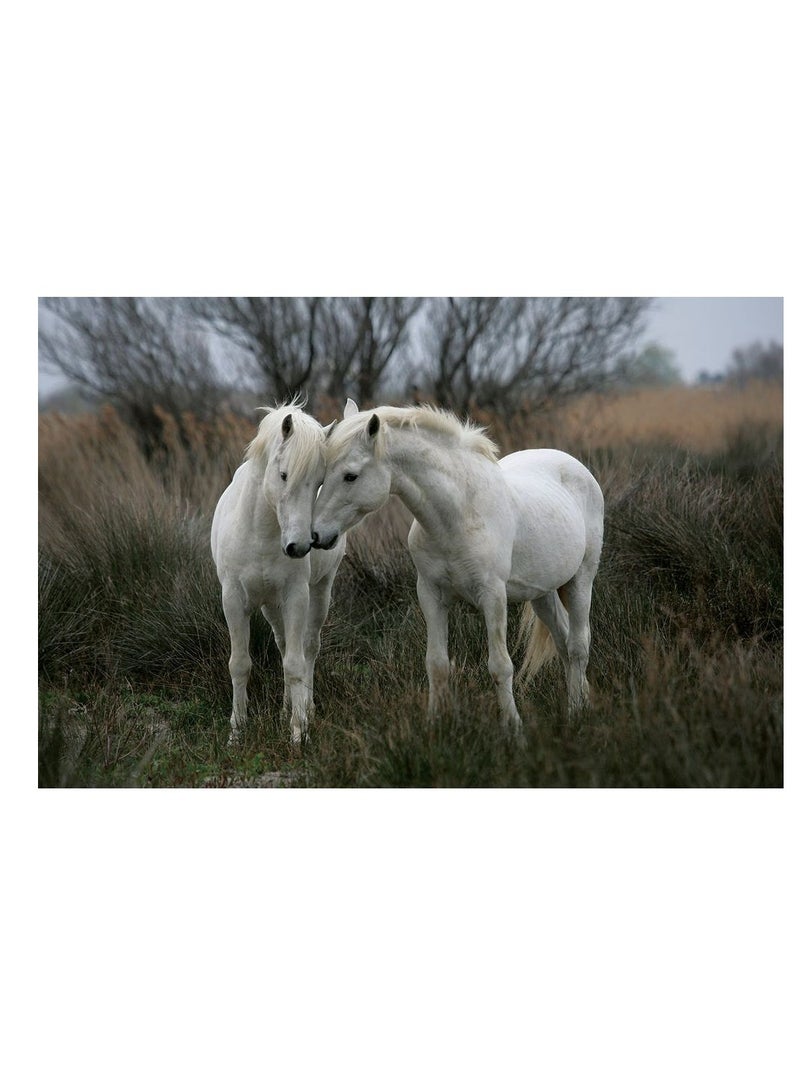 Tomax - White Stallions Puzzle 1500 Pieces - 150-034