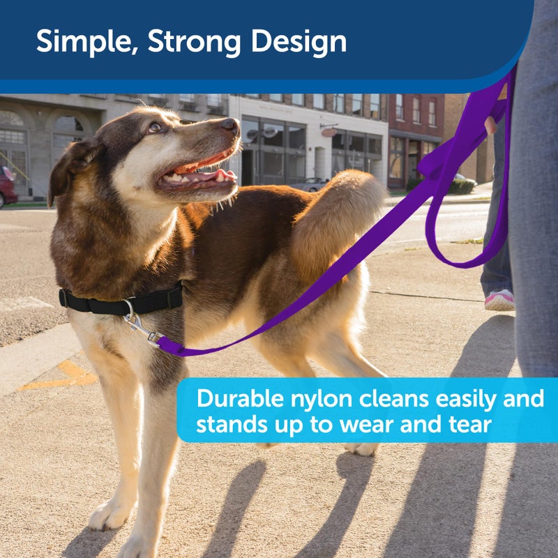 PetSafe Nylon Leash - Helps Maintain Secure Connection on Walks - Durable Pet Leash with Easy Clip - 1 in. x 6 ft. - Deep Purple - Image 4