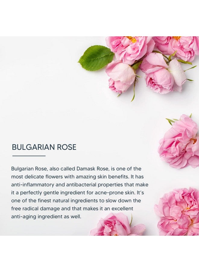 لوتس كريم الليل المحترف Dermo Spa Bulgarian Rose Radiance And Renewal، طبيعي، 50 جرام (عبوة واحدة) - Image 2