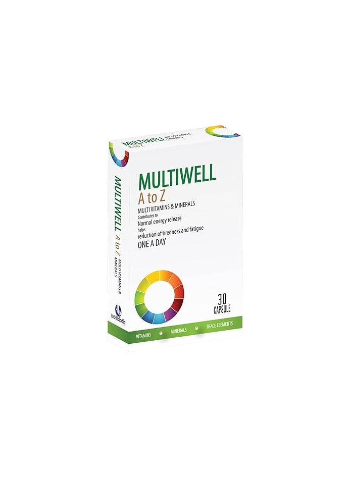WELLBIOTIC MULTIWELL A TO Z MULTIVITAMIN&MINERALS 30 CAPSULE