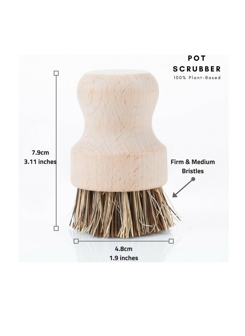 Gaia Guy Wood and Tampico Bottle Brush - Pot Brush - Vegetable Brush Set - Zero Waste, Compostable & Biodegradable Kitchen Brushes  - Image 5