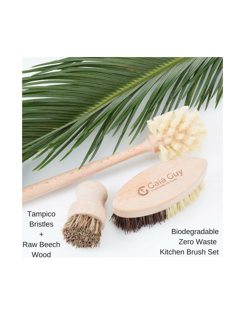 Gaia Guy - Wood and Tampico Bottle Brush - Pot Brush - Vegetable Brush Set - Zero Waste, Compostable & Biodegradable Kitchen Brushes - Image 1