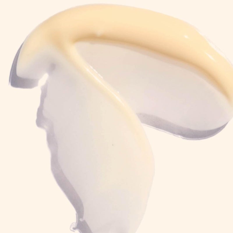 Ere Perez - Natural Moringa All-Beauty CrÃ¨me | Vitamins A + E, Lemon Balm, Prickley Pear | Hydrates, Plumps, Soothes | Vegan, Cruelty-Free, Palm-Free, Clean Beauty (1.7 oz | 50 g) - Image 2