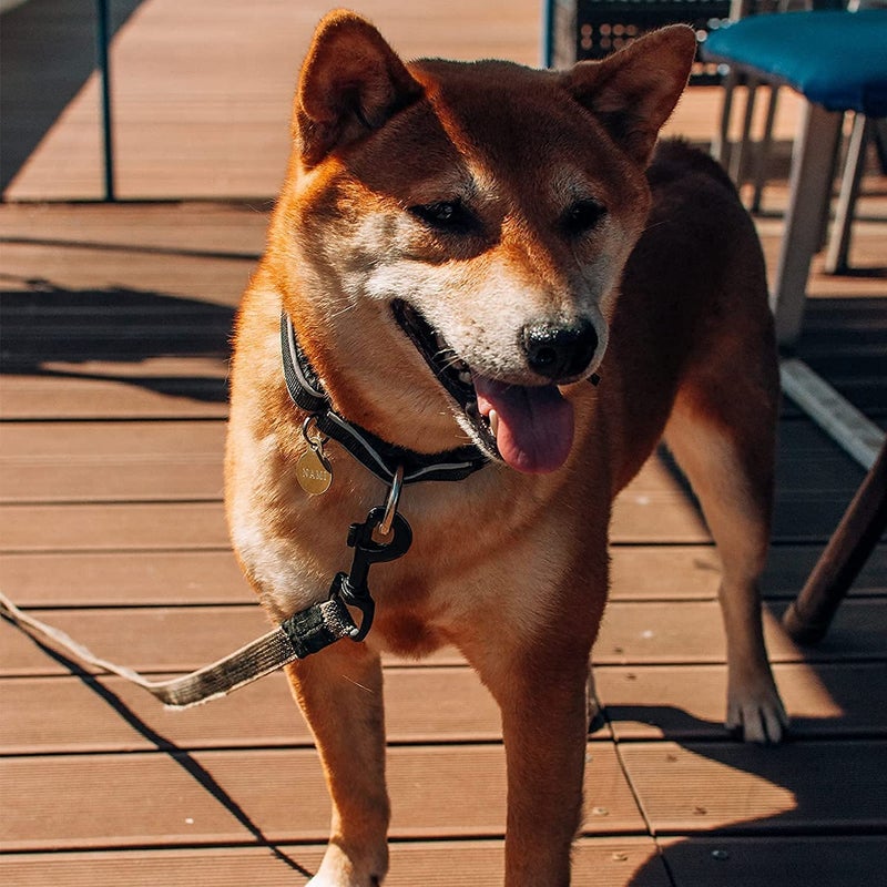 FIVOENDAR Swivel Eye Bolt Snap Hooks Black Heavy Duty Dog Leash Clips Dog Leash Clasp Dog Leash Snaps Hooks Trigger Clip Trigger Snaps 3 Inch 8 Pcs - Image 4