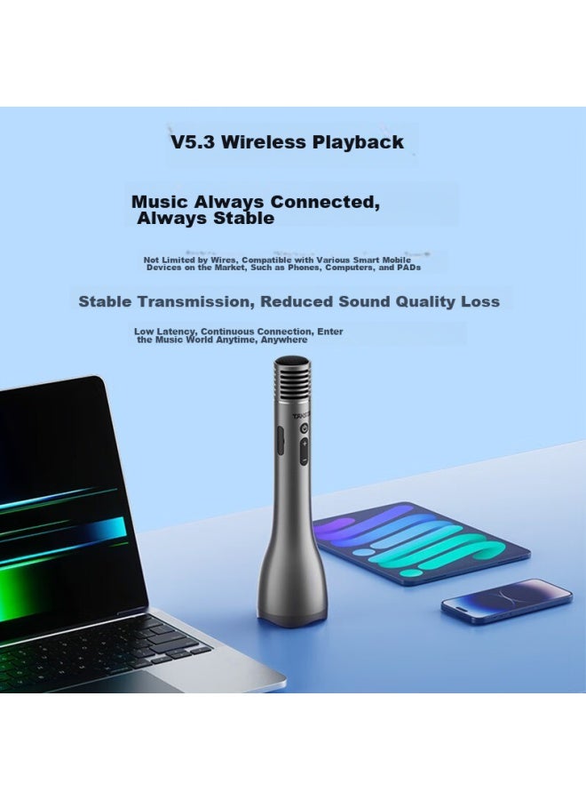 Takstar Da12 Karaoke Microphone With Speaker, Handheld Microphone, High-power Wireless, Small Bee Amplifier, For Teaching, Tour Guide, Teacher, And Lecturing - Image 4