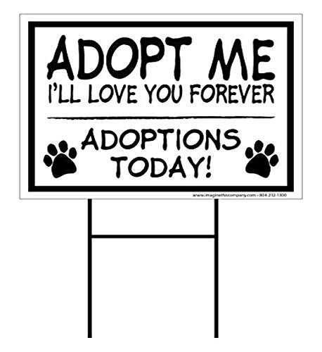 Imagine This S0464 Yard Sign - Image 3