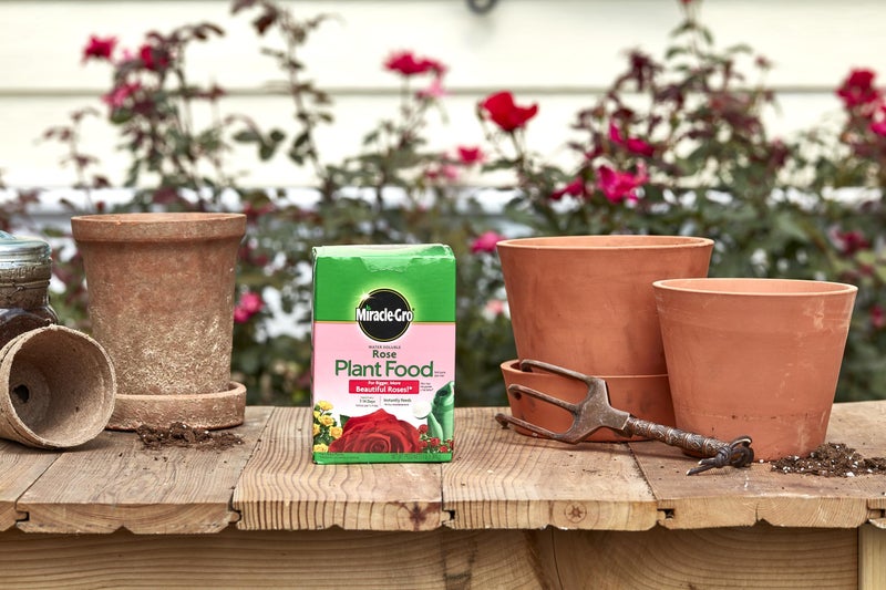 Miracle-Gro Water Soluble Rose Plant Food, 1.5 lb - Image 3