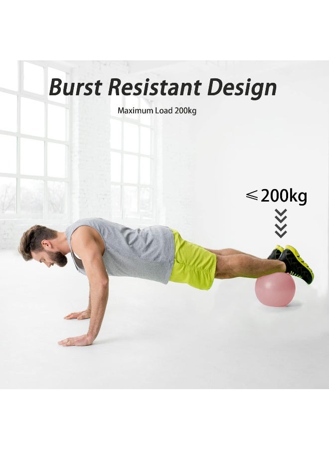 PROIRON Pilates Ball 25cm Mini Ball Small Exercise Ball for Pilates, Yoga, Core Training, Physical Therapy, Balance, Stability, Stretching - Image 4