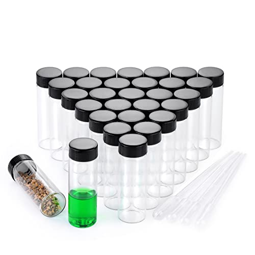 BKMAMLAB 30ml Clear Small Glass Vials 30pcs with Screw Caps(30pcs) - Image 1