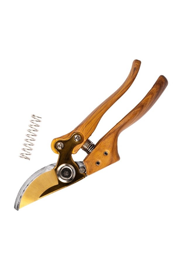 Gulf Flowers - Gulf Flowers Brown Garden Pruning Shears - 21cm x 5.5cm Heavy-Duty Floral Plant Cutting Scissors | Professional Pruners for Florists, Garden Maintenance & Fruit Tree Trimming - Image 1