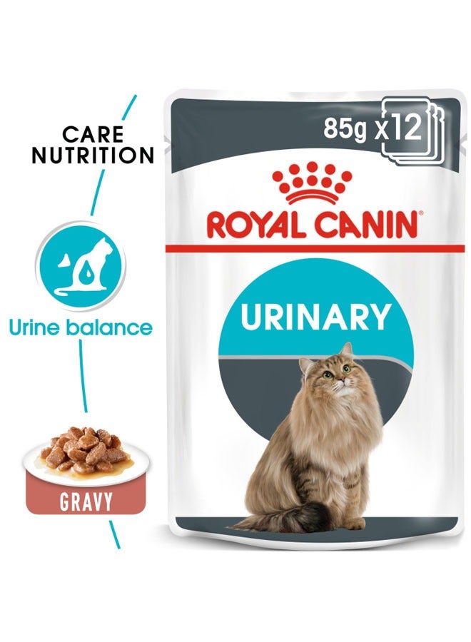 ROYAL CANIN Feline Care Nutrition Urinary Care Wet Food Pouches 