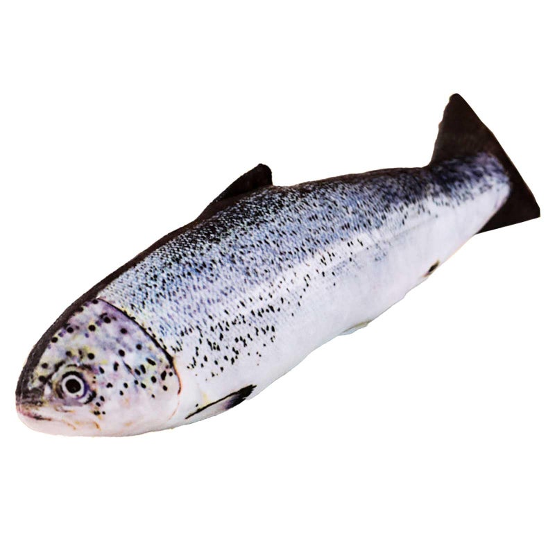 XiRiDa 23 Fish Stuffed Animal Pillow Simulation Salmon Stuffed Plush Toy Gift for Kids - Image 3