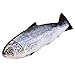 XiRiDa 23 Fish Stuffed Animal Pillow Simulation Salmon Stuffed Plush Toy Gift for Kids - Image 2