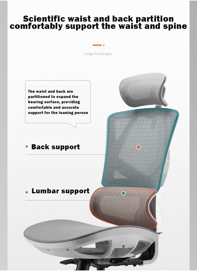 SIHOO M91C Bifma High Quality Full Mesh high Back Swivel Ergonomic Office Chair