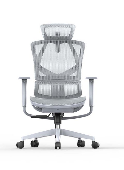 SIHOO M91C Bifma High Quality Full Mesh high Back Swivel Ergonomic Office Chair