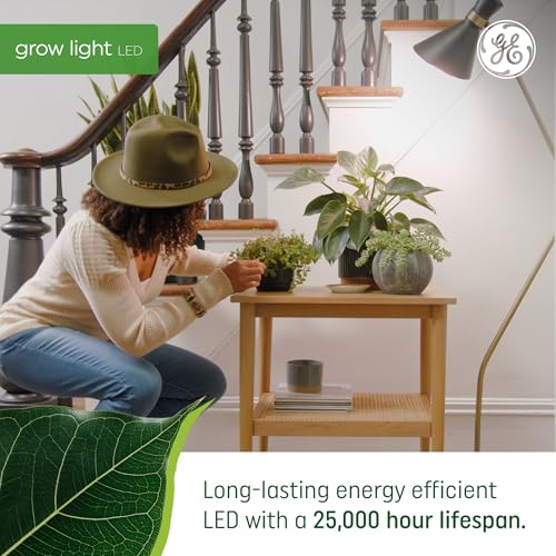 GE Grow LED Light Bulb for Plants Seeds and Greens, Balanced Light Spectrum, A19 (2 Pack) - Image 5