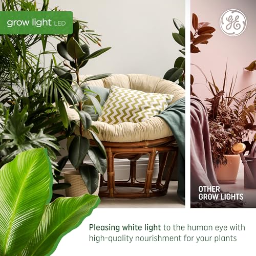 GE Grow LED Light Bulb for Plants Seeds and Greens, Balanced Light Spectrum, A19 (2 Pack) - Image 4