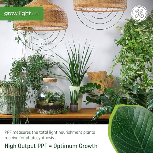 GE Grow LED Light Bulb for Plants Seeds and Greens, Balanced Light Spectrum, A19 (2 Pack) - Image 3