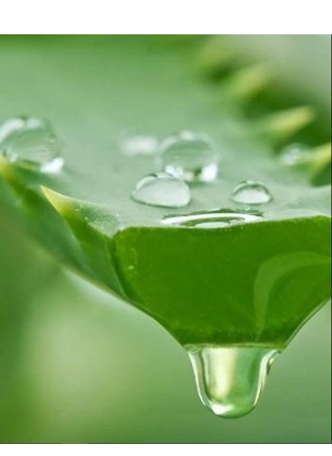 Generic - ALOE VERA SOOTHING GEL UNDEFIENED COLOR 150 ML - Image 1