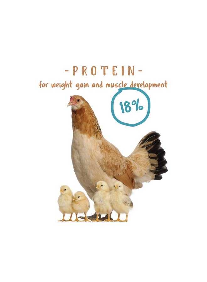 Manna Pro Chick Starter Food, Non-Medicated Chick Feed, Chick Supplies, Duck Food 5 lbs - Image 5