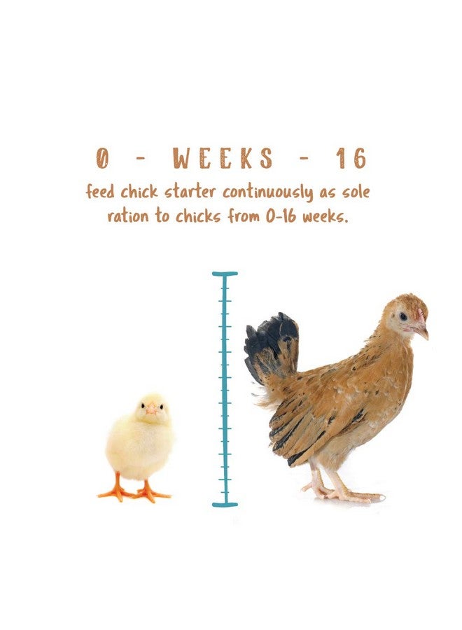 Manna Pro Chick Starter Food, Non-Medicated Chick Feed, Chick Supplies, Duck Food 5 lbs - Image 3