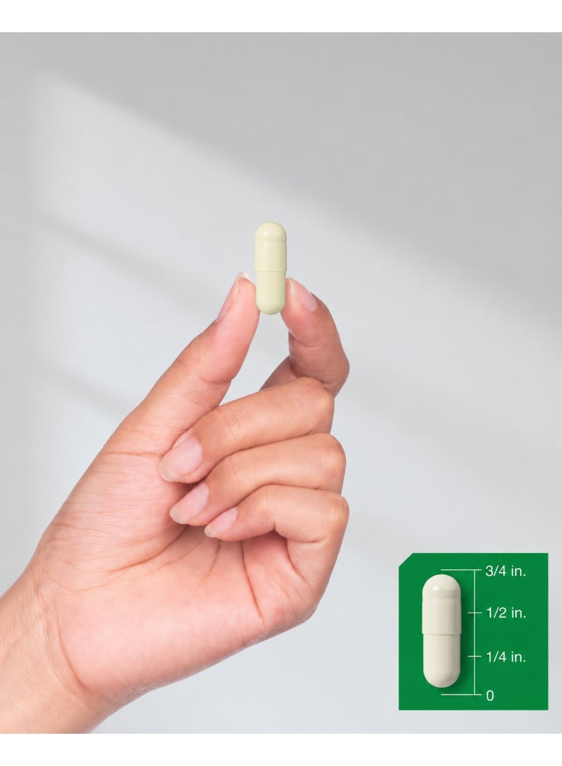 هرباخ Horbaach KSM-66 أشواجندا 600 ملغ – دعم متقدم للتوتر والمزاج والتركيز – مكمل عشبي عالي القوة – 60 قرص - Image 2