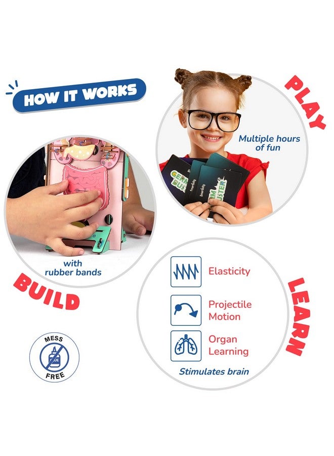 Smartivity Human Body Toy for Kids 6-12 Years | Body Organs & Functions | Birthday Gifts for Boys & Girls | DIY Science Toys for Kids 6,7,8,9,10,11,12,13,14 Years Old I STEM Wooden Construction Game - Image 3