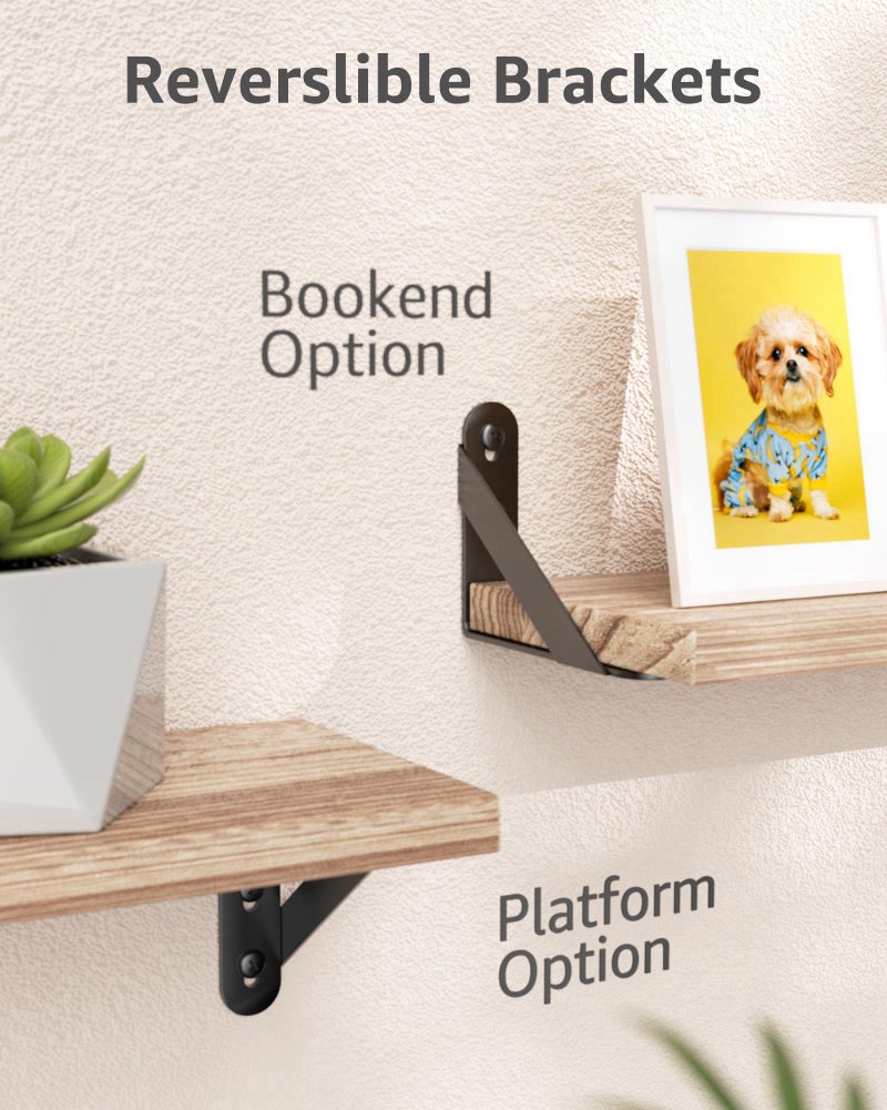 COCOYA 4x3 Shelf Brackets 6-Pack, Shelf Support Shelf Holder Steel Wall Mount Heavy Duty Small L Shape Triangle 90 Degree Metal Black with Screws Anchors Soporte de Estante - Image 3