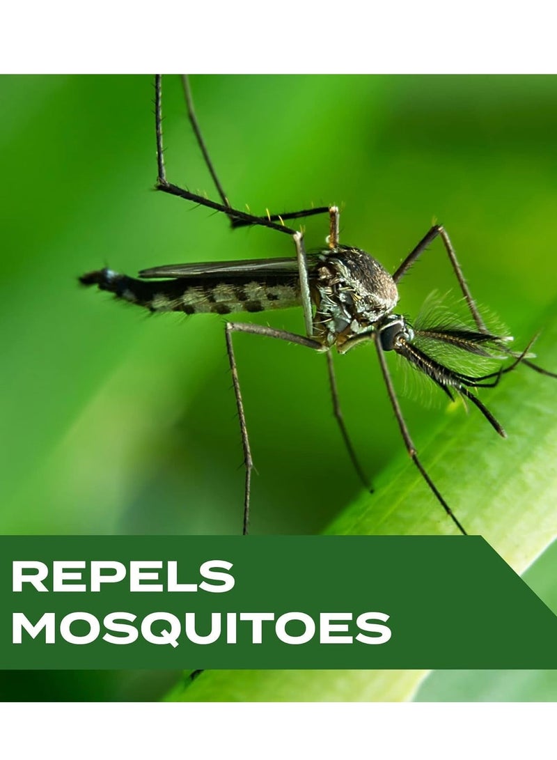 Mosquito and Insect Repellent Wipes Natural With Botanical Extracts, Long lasting, Free Travel Size 100 Individually Wrapped