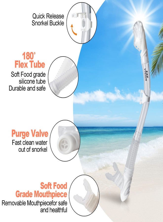 EXP VISION Dry Snorkel Set, Pano 3 Window Snorkel Mask, Anti-Fog Scuba Diving Goggles and Snorkel, Professional Adult Snorkeling Swim Mask Gear (Pearl White) - Image 5