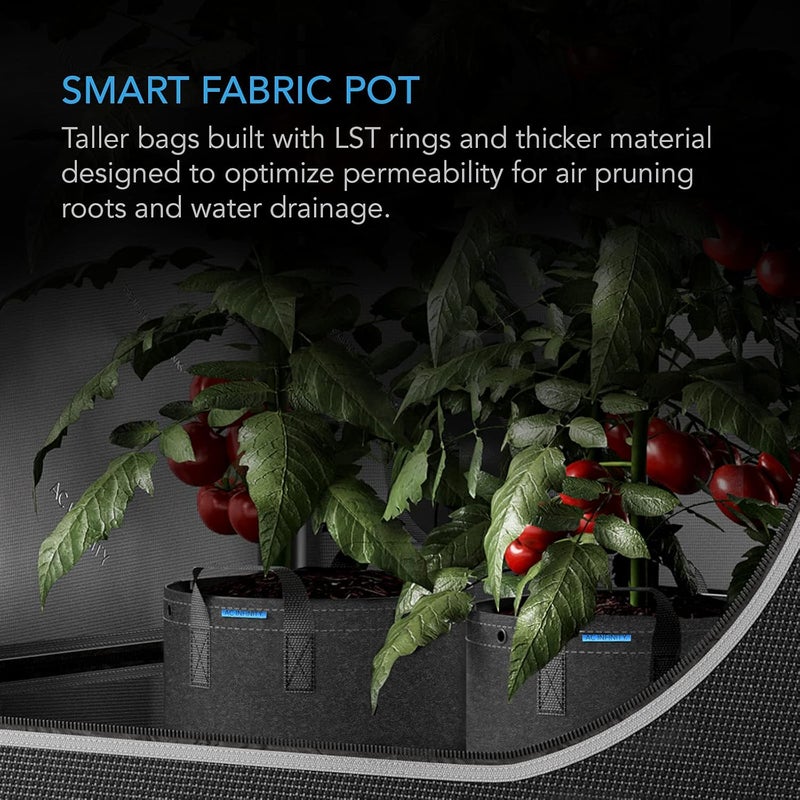 AC Infinity Heavy Duty Fabric Pots, 25 Gallon Aeration Reusable Grow Bags 5-Pack with 500G Thick Nonwoven Fabric and Multi-Purpose Rings, for Low Stress Plant Training Fruits, Vegetables, and Flowers - Image 2