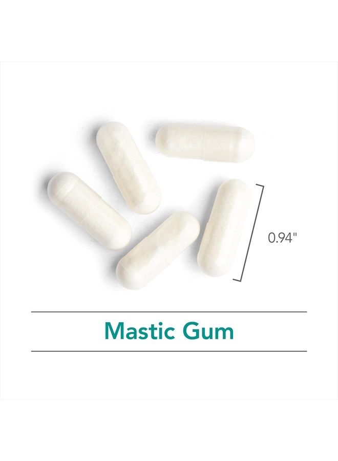 Nutricology صمغ المستكة - مستكة خيوس الأصلية - صحة الجهاز الهضمي، التمثيل الغذائي - 240 كبسولة نباتية - Image 5