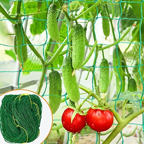 WORLD NET ENTERPRISE Jaliwale Creeper Net & Plant Support Trellis Netting Plant Climbing Net For Flower Fruits Vegetables Tomato Plants Green Colour 6Ft X 6Ft - Image 1