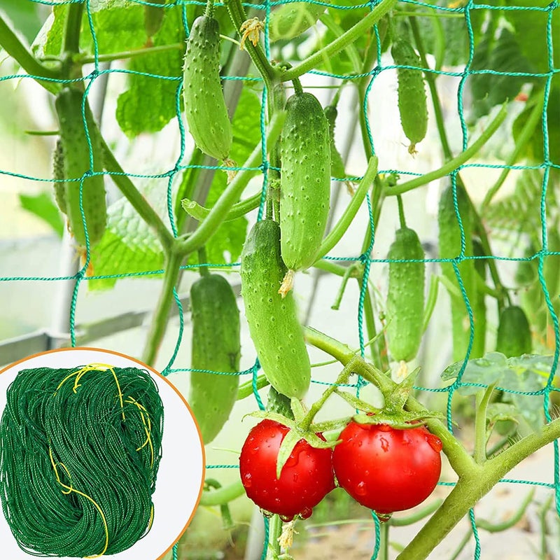WORLD NET ENTERPRISE Jaliwale Creeper Net & Plant Support Trellis Netting Plant Climbing Net For Flower Fruits Vegetables Tomato Plants Green Colour 6Ft X 6Ft - Image 3