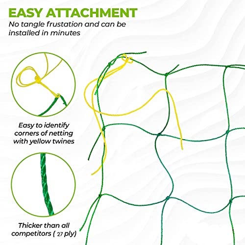 WORLD NET ENTERPRISE Jaliwale Creeper Net & Plant Support Trellis Netting Plant Climbing Net For Flower Fruits Vegetables Tomato Plants Green Colour 6Ft X 6Ft - Image 2