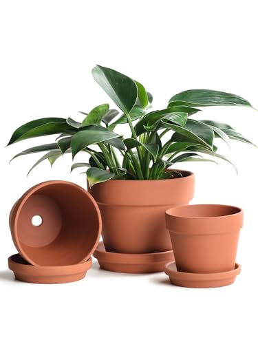 INGOFIN Terracotta Pots Set with Saucer 567 inch Ceramic Clay Planters with Drainage Hole Garden Flower Succulent Pots with Tray for Indoor Outdoor Plants Set of 3
