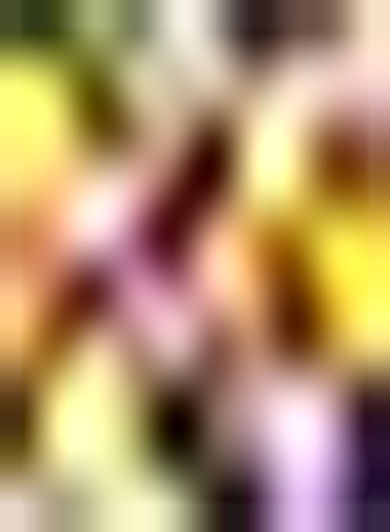 GGOOT 5pcs Mixed Color Tulip Seeds Exotic Perennials Bring Sense of Accomplishment Suitable for Beginners Novice Gardeners DIY Garden Craft Art Decoration - Image 2