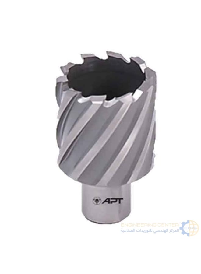 Apt Magnetic bit 24 x 30mm APT HSS-XE