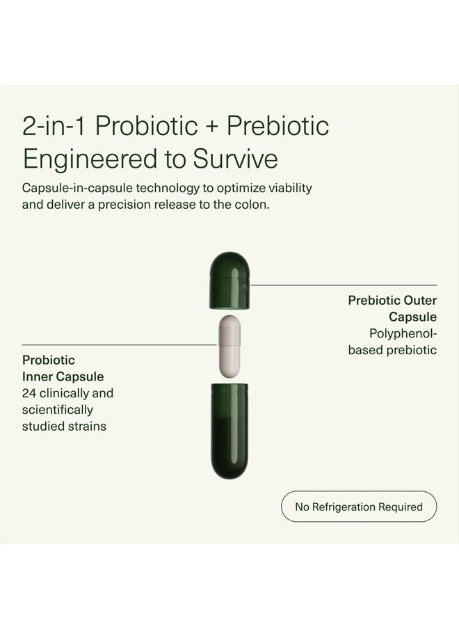 Seed - DS-01 Daily Synbiotic, 60 Capsules - Image 1