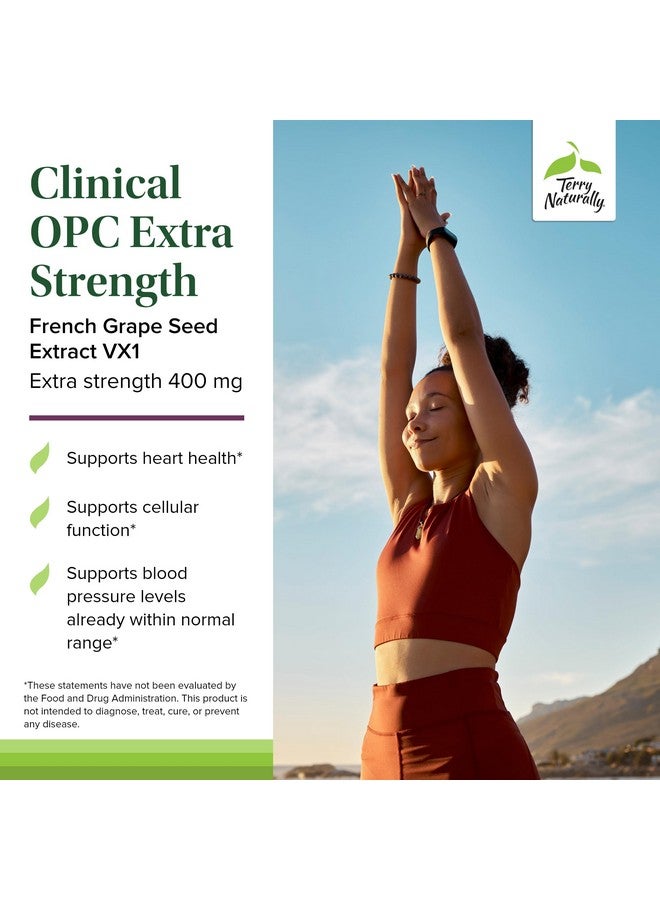 Terry Naturally Clinical OPC Extra Strength - Cardiovascular Health & Focus Support - Supplement with Grape Seed Extract - Immune Support Supplement - 60 Softgels - Image 3