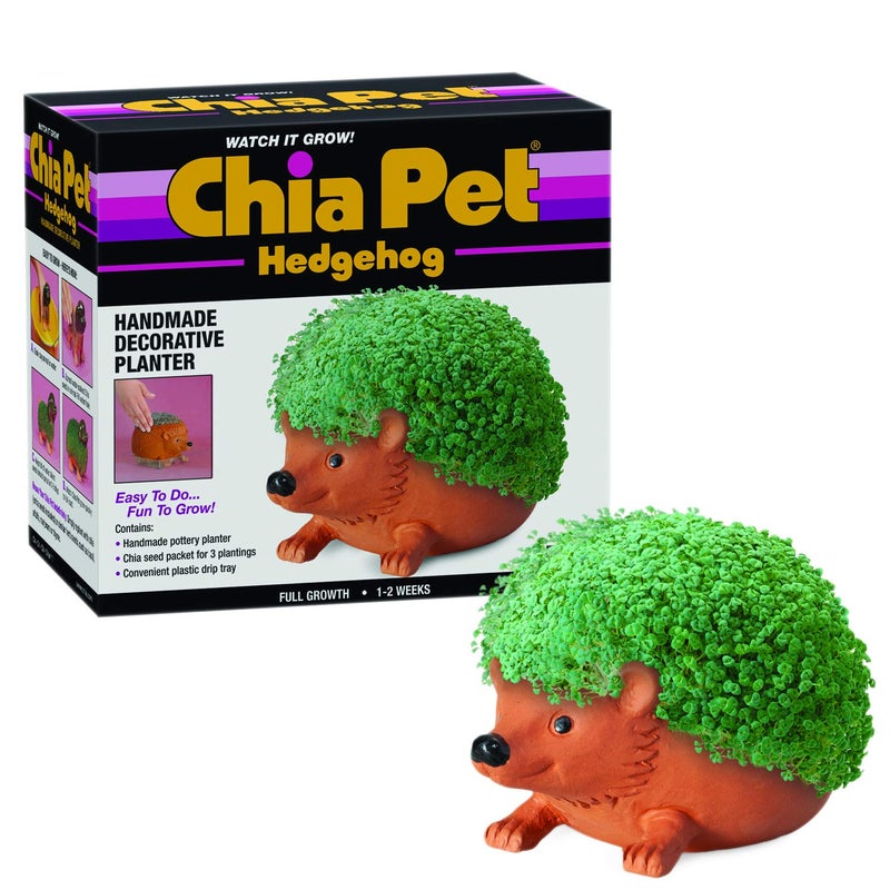 Chia Pet Hedgehog with Seed Pack, Decorative Pottery Planter, Easy to Do and Fun to Grow, Novelty Gift, Perfect for Any Occasion, Terra Cotta - Image 1