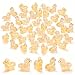HOMICO 50 Pieces Mini Horse Animals Decor Luminous Mini Resin Animals for Dollhouse Micro Fairy Garden Landscape Aquarium Party Decorations - Image 2