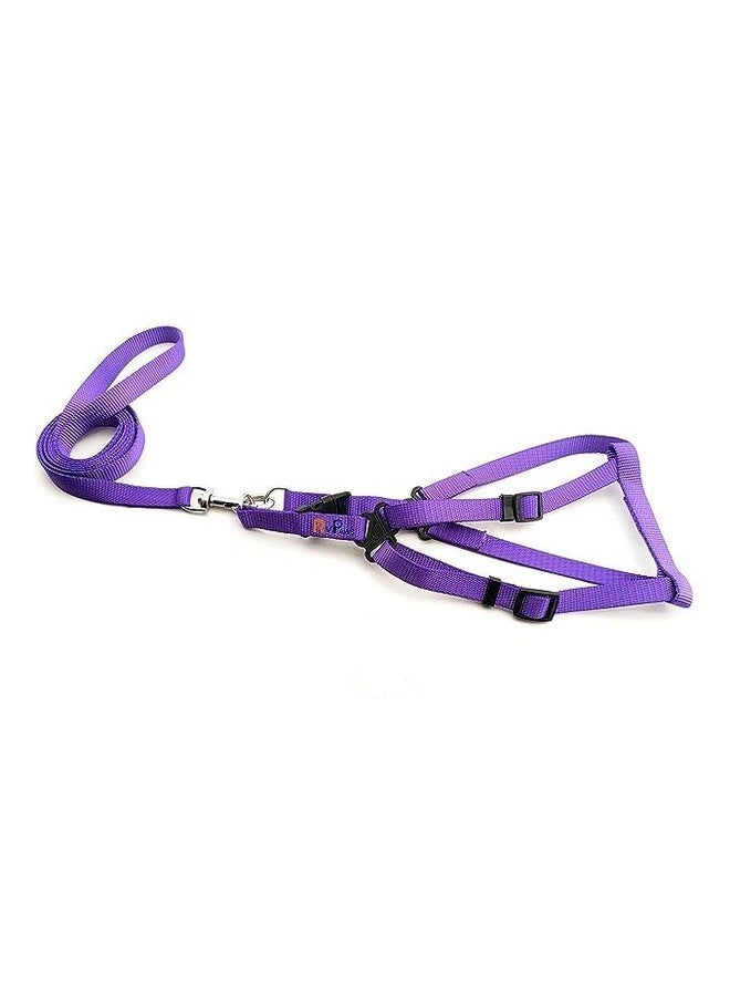 مجموعة حزام ومقود للكلاب بنمط شريط نايلون 15 مم من الراديوم/العاكس، مثالية للجراء والكلاب من السلالات الصغيرة (أرجواني) - Image 1