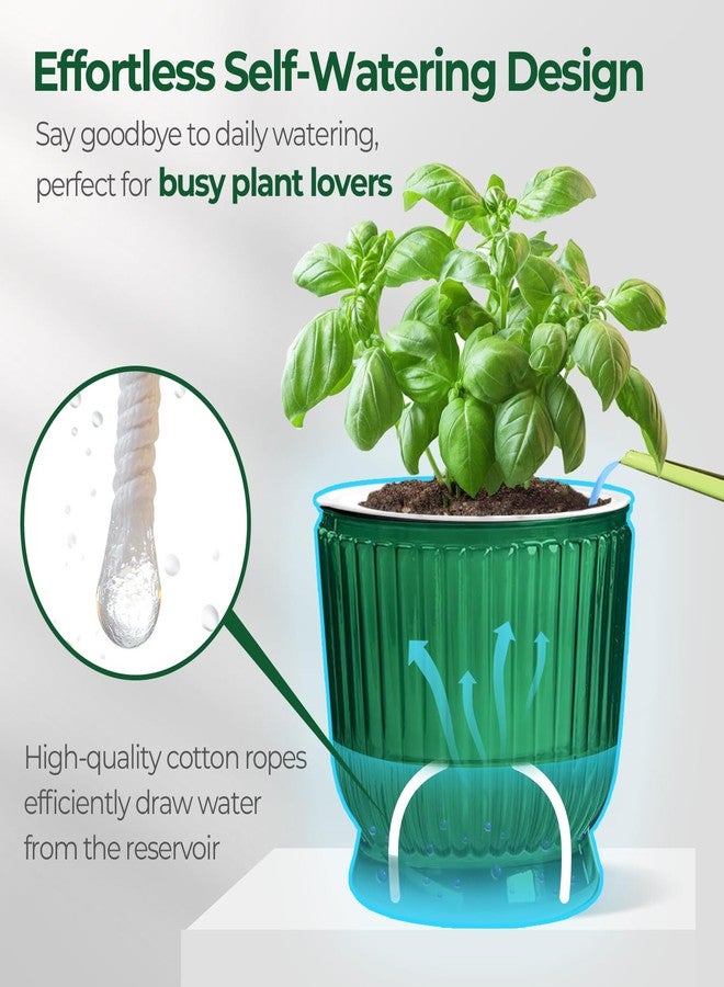 T4U Self Watering Plant Pots, 4 Inch Small Plant Pots, Self Watering Planter with Deep Reservoir, Plastic Flower Pots for All House Plants, Flowers, African Violets, 4 Pack,Transparent Green - Image 4